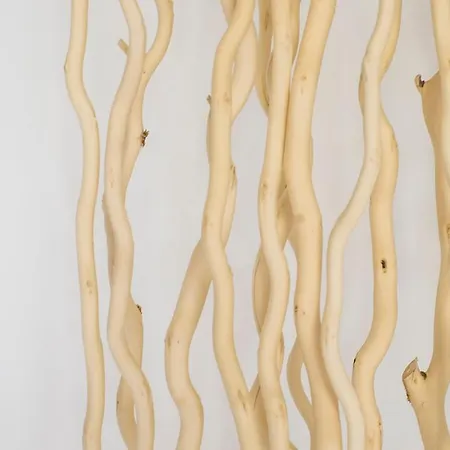 アパート New & Terrace. Steps To Ondarreta Añorga-Lugariz